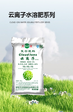 云离子亚洲深夜福利肥系列